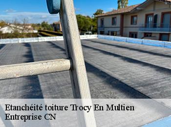 Etanchéité toiture trocy-en-multien-77440 Entreprise CN