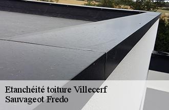 Etanchéité toiture villecerf-77250 Sauvageot Fredo