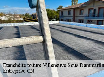 Etanchéité toiture villeneuve-sous-dammartin-77230 Entreprise CN