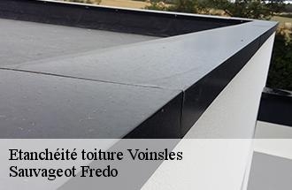 Etanchéité toiture voinsles-77540 Sauvageot Fredo