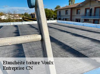 Etanchéité toiture voulx-77940 Entreprise CN