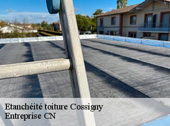 Etanchéité toiture cossigny-77173 Entreprise CN