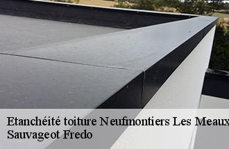 Etanchéité toiture neufmontiers-les-meaux-77124 Sauvageot Fredo