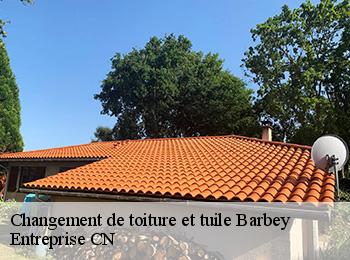 Changement de toiture et tuile barbey-77130 Entreprise CN