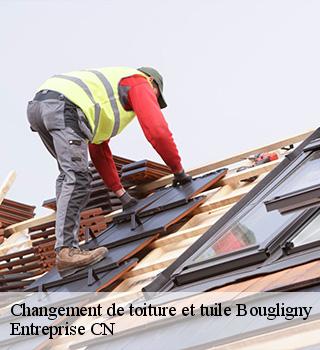 Changement de toiture et tuile 77570