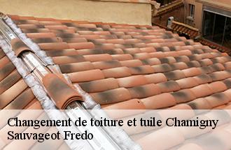 Changement de toiture et tuile  chamigny-77260 Sauvageot Fredo