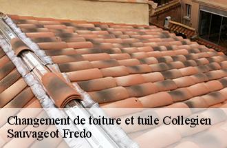 Changement de toiture et tuile collegien-77090 Sauvageot Fredo