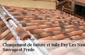 Changement de toiture et tuile fay-les-nemours-77167 Sauvageot Fredo