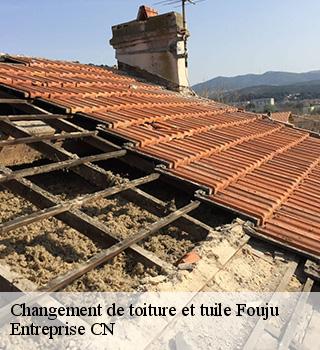 Changement de toiture et tuile 77390