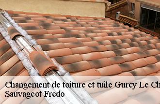 Changement de toiture et tuile  gurcy-le-chatel-77520 Sauvageot Fredo
