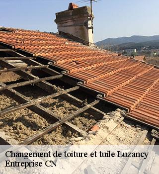 Changement de toiture et tuile 77138