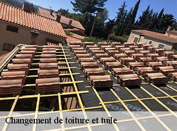 Changement de toiture et tuile