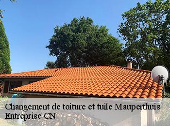Changement de toiture et tuile  mauperthuis-77120 Entreprise CN