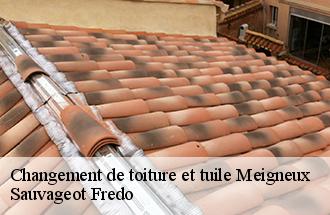 Changement de toiture et tuile meigneux-77520 Sauvageot Fredo