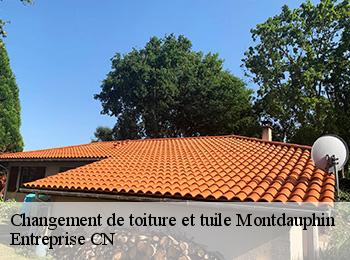 Changement de toiture et tuile montdauphin-77320 Entreprise CN