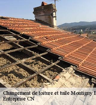 Changement de toiture et tuile 77520