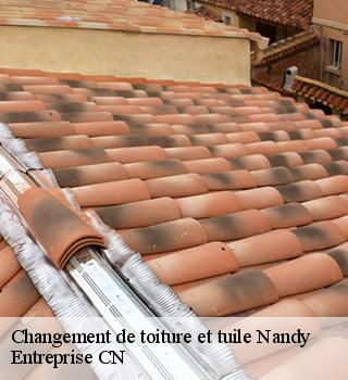 Changement de toiture et tuile 77176