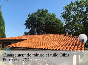 Changement de toiture et tuile  othis-77280 Entreprise CN