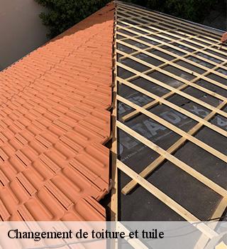 Changement de toiture et tuile  77139