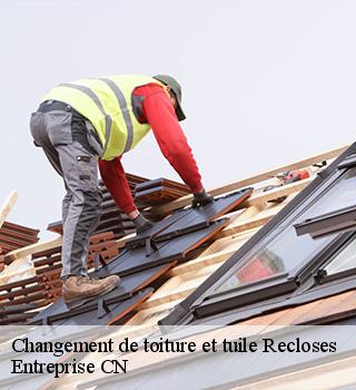 Changement de toiture et tuile  77760