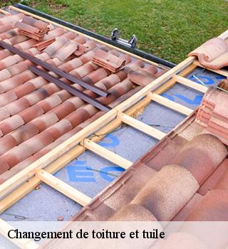 Changement de toiture et tuile 77750