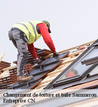 Changement de toiture et tuile 77260