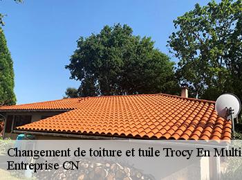 Changement de toiture et tuile  trocy-en-multien-77440 Entreprise CN