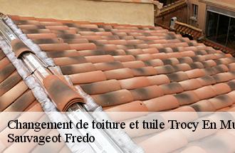 Changement de toiture et tuile trocy-en-multien-77440 Sauvageot Fredo