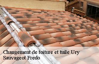 Changement de toiture et tuile  ury-77760 Sauvageot Fredo