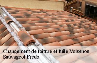 Changement de toiture et tuile  voisenon-77950 Sauvageot Fredo