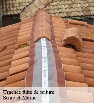 Urgence fuite de toiture Seine-et-Marne 
