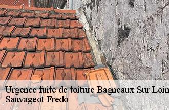 Urgence fuite de toiture bagneaux-sur-loing-77167 Sauvageot Fredo