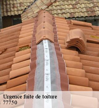Urgence fuite de toiture 77750