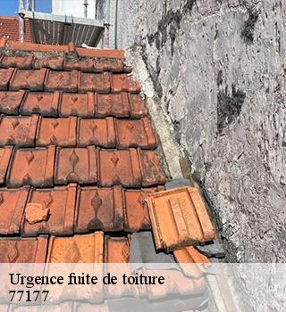 Urgence fuite de toiture 77177