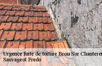 Urgence fuite de toiture  brou-sur-chantereine-77177 Sauvageot Fredo
