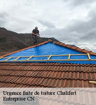 Urgence fuite de toiture 77144