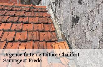 Urgence fuite de toiture  chalifert-77144 Sauvageot Fredo