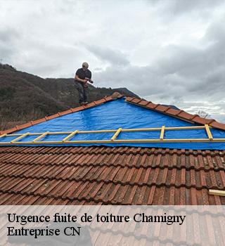 Urgence fuite de toiture 77260