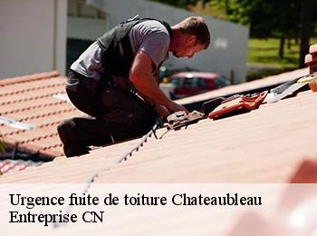 Urgence fuite de toiture  chateaubleau-77370 Entreprise CN