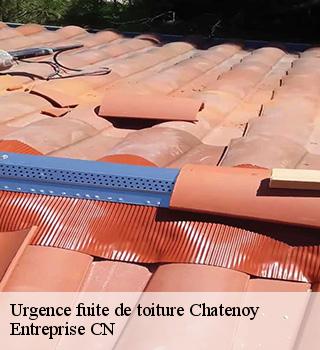 Urgence fuite de toiture 77167