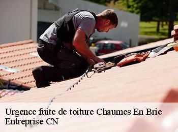 Urgence fuite de toiture  chaumes-en-brie-77390 Entreprise CN