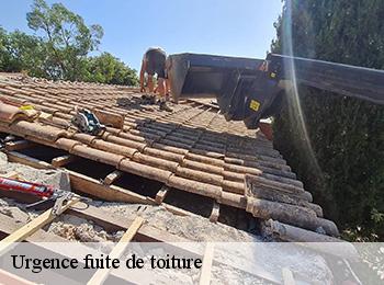 Urgence fuite de toiture
