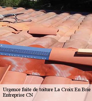 Urgence fuite de toiture 77370