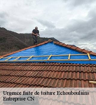 Urgence fuite de toiture 77830