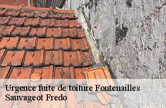 Urgence fuite de toiture fontenailles-77370 Sauvageot Fredo