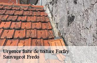 Urgence fuite de toiture  forfry-77165 Sauvageot Fredo