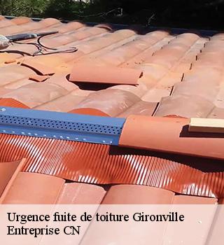 Urgence fuite de toiture  77890