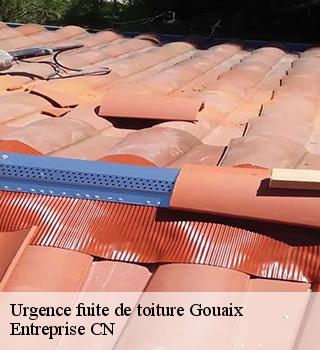 Urgence fuite de toiture  77114