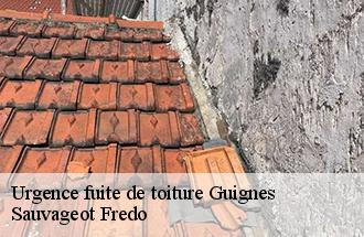 Urgence fuite de toiture guignes-77390 Sauvageot Fredo