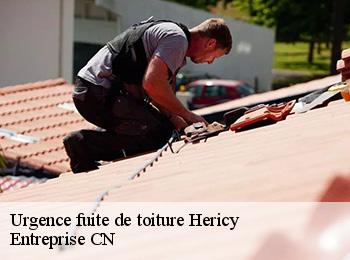 Urgence fuite de toiture hericy-77850 Entreprise CN